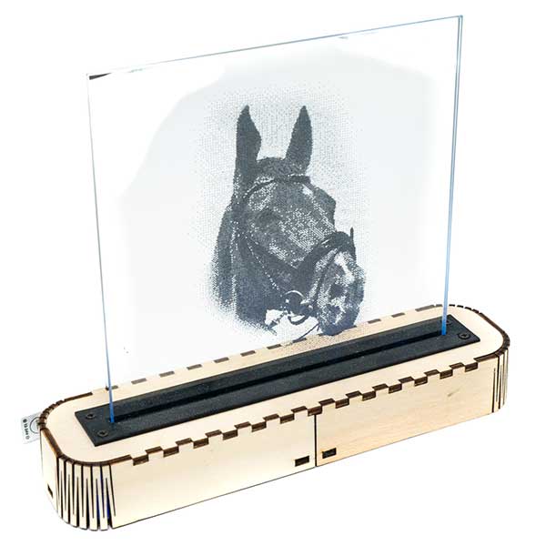01-Spiegelhalter-Bild-Pferd